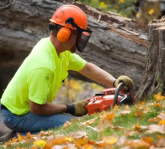 tree services Roebling